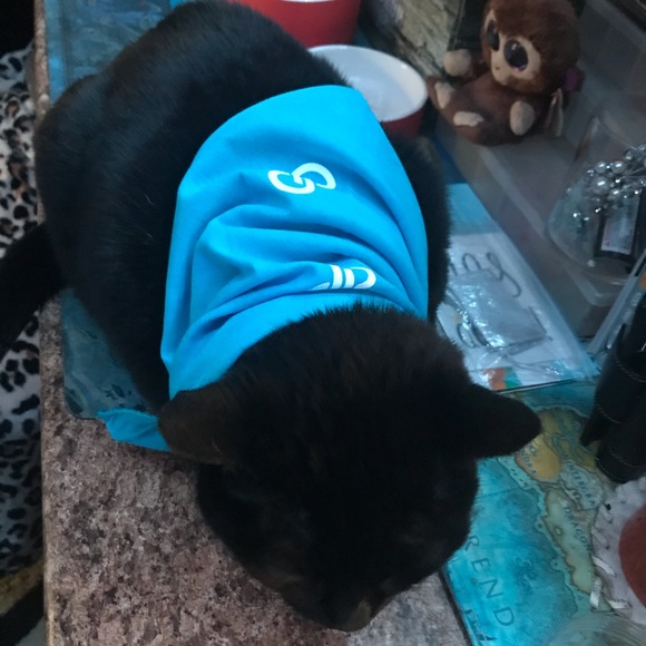 Pet/ human Bandana Poshfixings Exclusive New - Picture 6 of 12